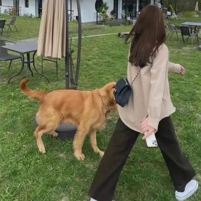 玉女添丁
