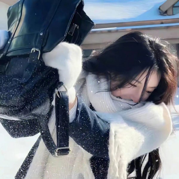 雪夫人绘图